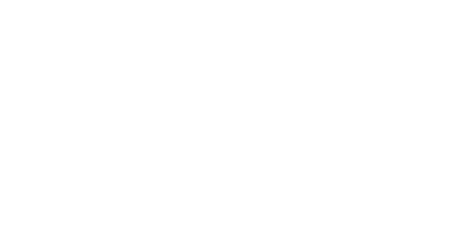 The Steak Critic